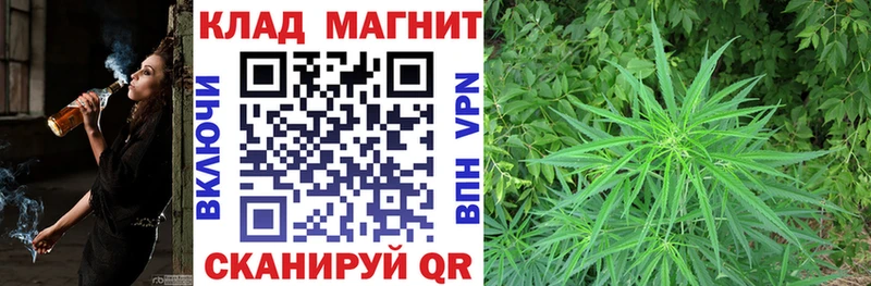 Купить Нальчик Марихуана A-PVP Гашиш Мефедрон