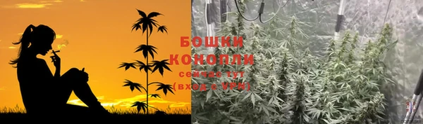 дживик Корсаков