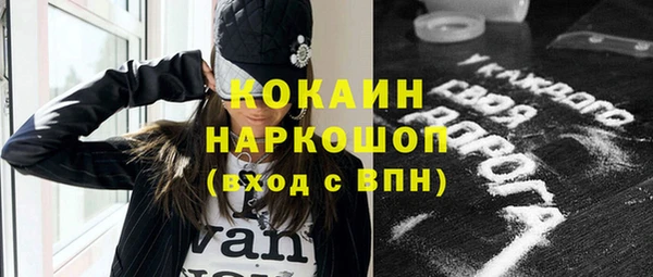 дживик Корсаков