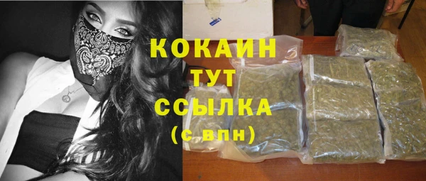дживик Корсаков