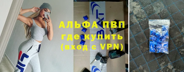 дживик Корсаков