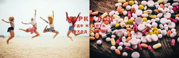 дживик Корсаков