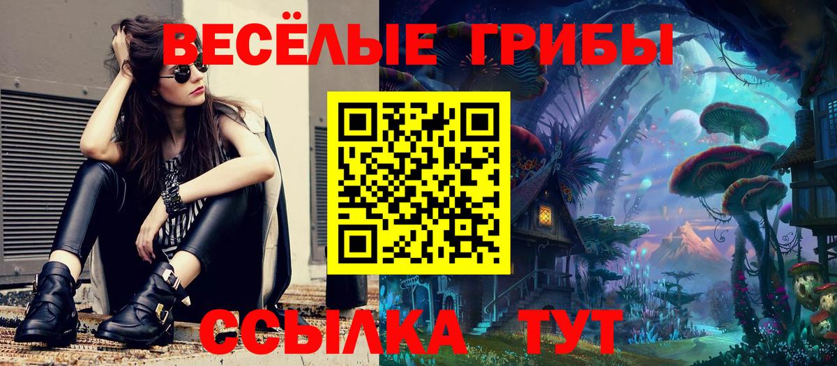 Нальчик  Галлюциногенные грибы GOLDEN TEACHER  что такое наркотик  Вход с VPN 