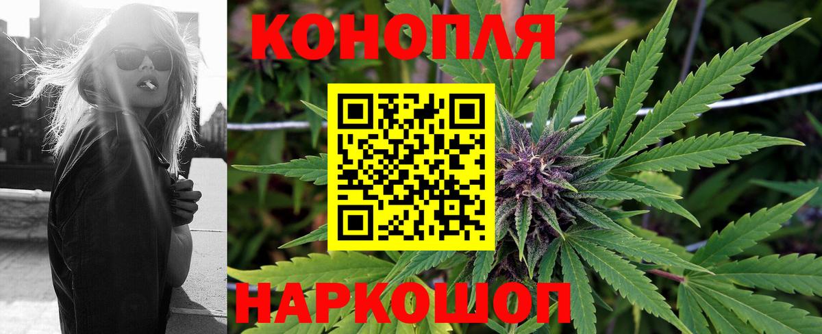 Каннабис семена Нальчик